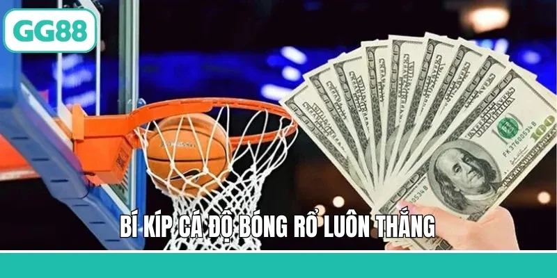Bí kíp cá độ bóng rổ luôn thắng