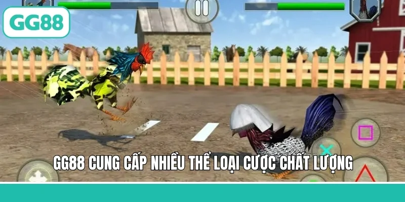 GG88 cung cấp nhiều thể loại cược chất lượng